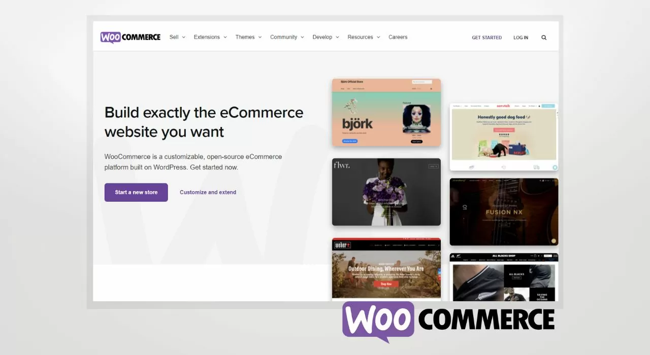 Ein Screenshot des WooCommerce-Shopsystems.